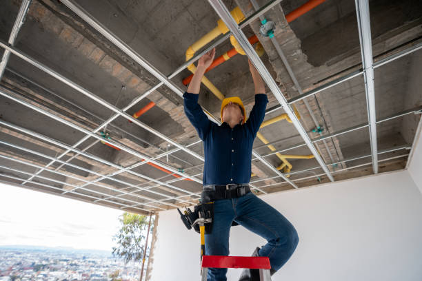 Best Plumbing Inspection Services  in Jacksonville, FL
